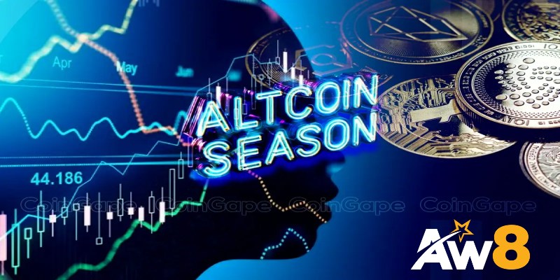 Alt Coin Là Gì? Tổng Quan Về Các Đồng Tiền Điện Tử Thay Thế