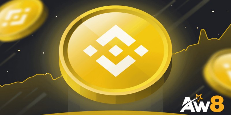 BNB Coin Là Gì