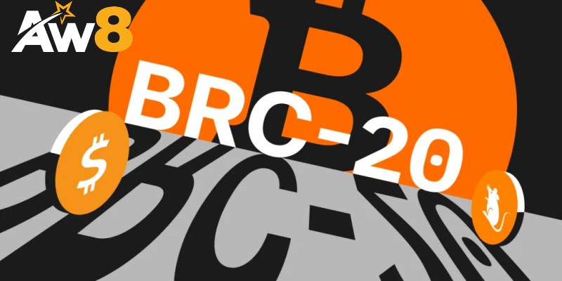 BRC-20 Là Gì? Nguồn Gốc Ra Đời Và Mục Đích Của Chuẩn Token Mới
