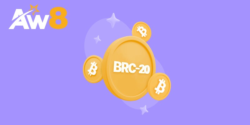 Cách BRC-20 Hoạt Động Và Điểm Khác Biệt So Với Các Chuẩn Token Khác