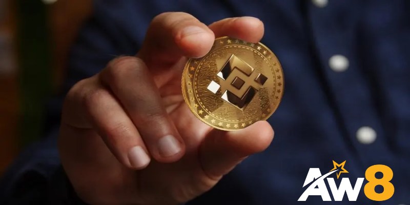 Lịch Sử Hình Thành Và Phát Triển Của BNB Coin