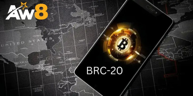 Tiềm Năng Phát Triển Của BRC-20 Trong Tương Lai