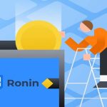Đôi nét về ví Ronin