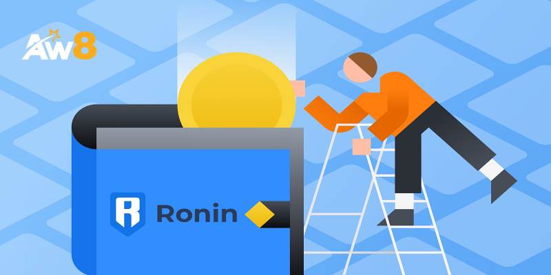 Đôi nét về ví Ronin