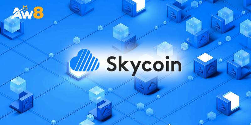 Giới thiệu dự án Skycoin