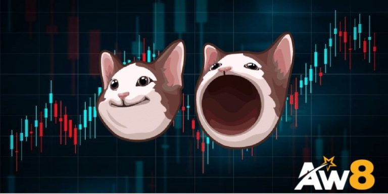Rủi Ro Khi Đầu Tư Vào Pop Cat Coin